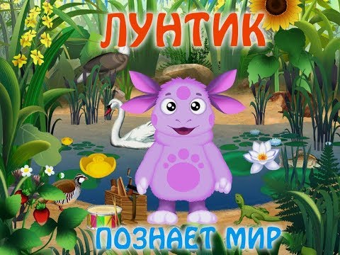 Видео: Лунтик познаёт мир. Полная версия. Мультик игра.