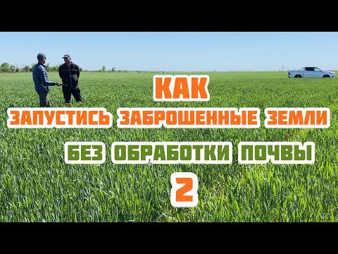 Видео: Как запустить заброшенные земли без обработки почвы | Ещё один вариант