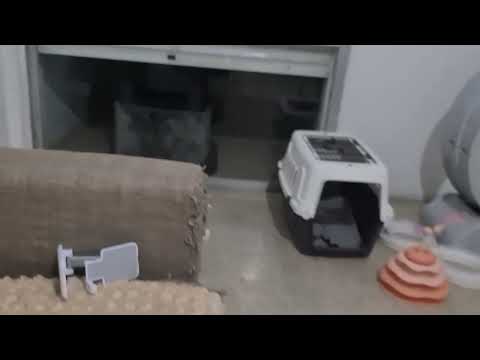 Видео: А матрёшки кто🤩🙃🤣😅🥰