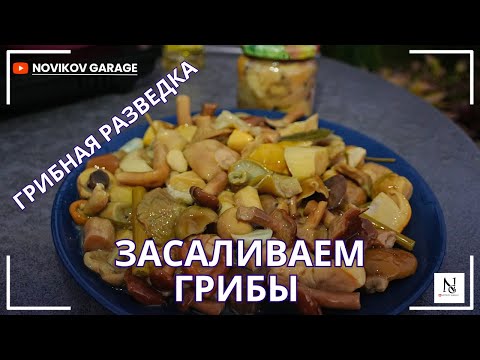 Видео: Грибная разведка - засаливаем грибы. Как солить горькушки ?