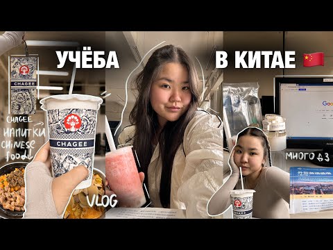 Видео: УЧЕБА В КИТАЕ 📖| или как ВыЖиТЬ // *не для слабаков* | ВЛОГ