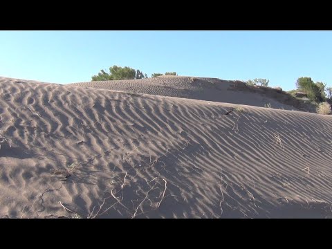 Видео: Пески, саксаул и немного рыбалки