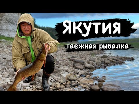 Видео: [4k] Якутия жизнь в тайге ловим щук ленков готовим еду на природе  2часть life in the taiga fishing