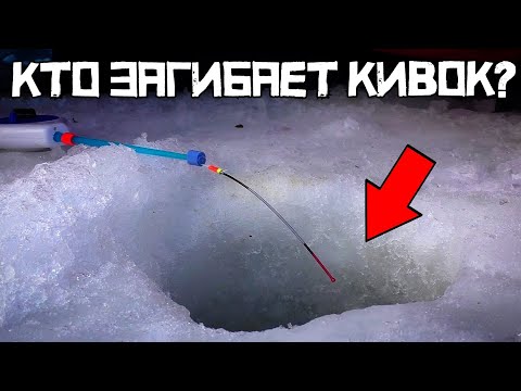 Видео: ПОПАЛ НА ДИКИЙ ХАПОК! Накормил АНИСОМ и КЛЮЁТ! Рыбалка в КОНЦЕ февраля 2024