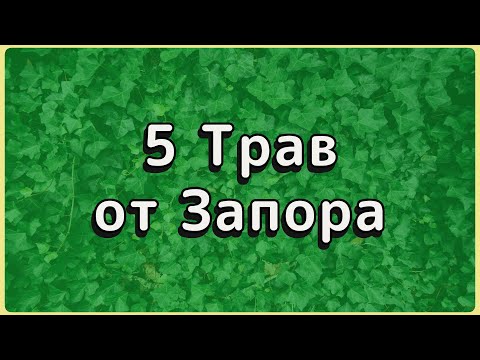 Видео: Запор после 50? 5 трав, которые помогут БЕЗ привыкания.