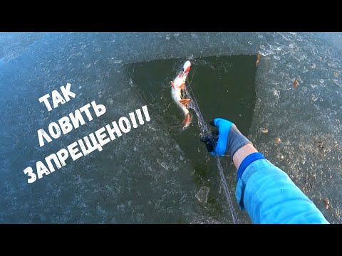 Видео: Полные Сети Рыбы, Щука, Карась, Окунь, Плотва / Запрещенные Снасти В Действии