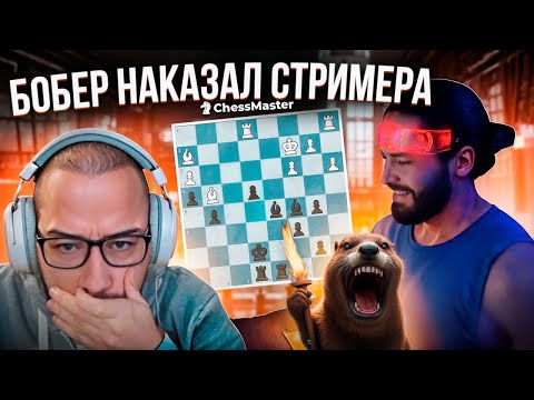 Видео: Стример с рейтингом 2668 отведал когтя БОБРА!