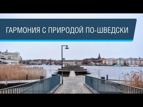 Видео: Новый район Стокгольма