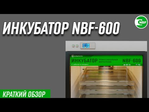 Видео: Инкубатор NBF-600. Краткий обзор.