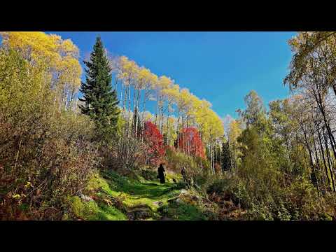 Видео: Вадим Редькин - Тюремный романс (живая запись из СИЗО) 10.2025