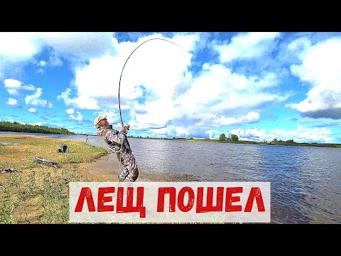 Видео: ЛЕЩ ПОШЕЛ! ДУПЛЕТЫ КОНИ! Вот это рыбалка.