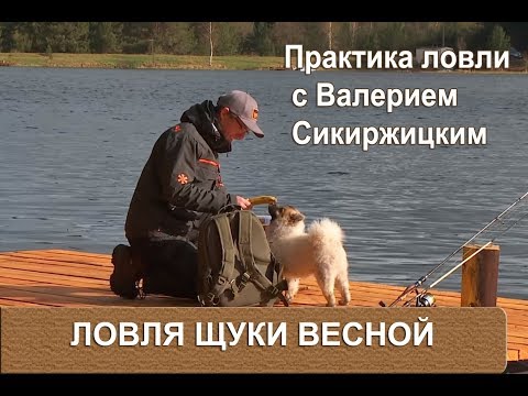 Видео: Щука на спиннинг весной. Практика Ловли с Валерием Сикиржицким.