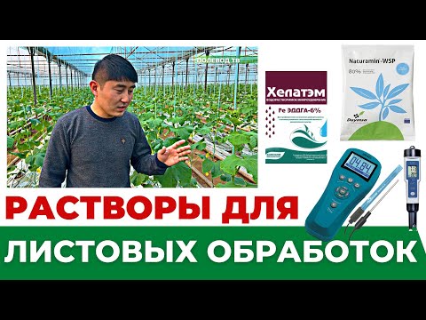 Видео: РАСТВОРЫ ДЛЯ ЛИСТОВЫХ ОБРАБОТОК! #теплица #агробизнес #агроном #лайфхаки #удобрения #огурцы #томаты