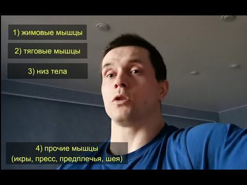 Видео: Как часто качать мышечные группы? Полный разбор