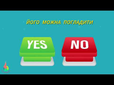 Видео: ТАК чи Ні 💛🩵 вибери варіант і перевір відповідь