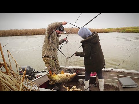 Видео: ВОТ ЭТО РЫБАЛКА! РЫБА МЕЧТЫ, НИКОГДА НЕ ЛОВИЛ ТАКОГО. Рыбалка на закидушки и червя.