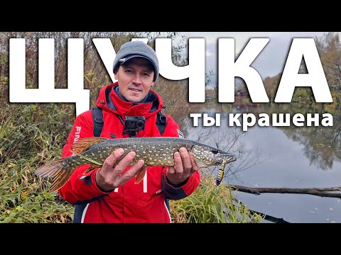 Видео: Это весомый ARGUMENT! Ловля щуки на воблер. Рыбалка с юными подписчиками в Апрелевке.