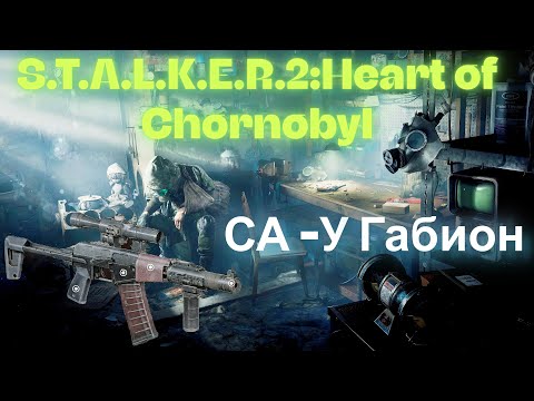Видео: Химера VS СА У Габион Обычный Патрон 9Х39  S.T.A.L.K.E.R.2:Heart of Chornobyl