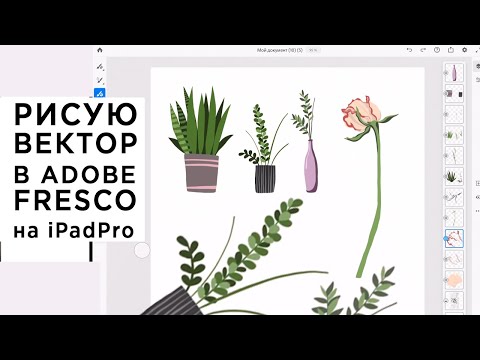 Видео: Как я рисую в векторе в Adobe FRESCO на iPad Pro, видео специально для Алены