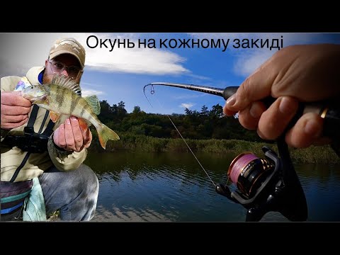 Видео: ВЕЛИКИЙ ОКУНЬ КЛЮЄ З КОЖНОГО ЗАКИДУ|Flagman Cort-X 76ML 2.28м 5-20г|ч.2