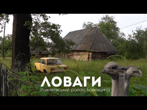 Видео: Ловаги - бойківське зникаюче село, яке відроджує страусина ферма.