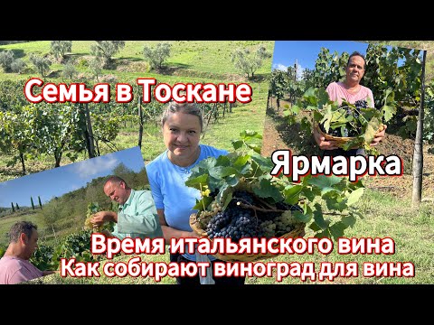 Видео: #жизнь в Италии🇮🇹#виноделие в Тоскане#ярмарка в деревне##итальянцы выселяться 🇮🇹