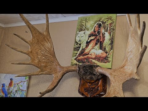 Видео: Воскресенье.Домашние заботы.Не много о рогах и гастрономическом оргазме