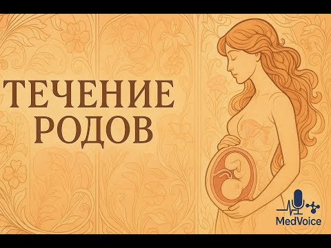 Видео: Физиологические роды. Часть 3: Течение родов — от первых схваток до рождения