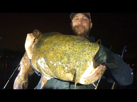 Видео: Моя любимая наживка для плоскоголового окуня окупается