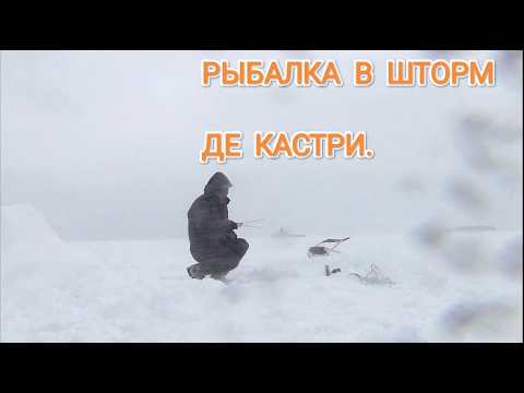 Видео: Огромные наваги рвут леску. Зимняя рыбалка в де кастри на комбайны.