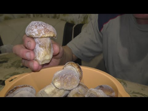 Видео: Готовим с БАБУШКОЙ блины и НАЧИНКУ ИЗ БЕЛЫХ ГРИБОВ! ЭТО ООЧЕНЬ ВКУСНО!!!