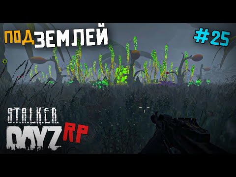 Видео: ПУТЬ ПОД ЗЕМЛЮ. DAYZ STALKER RP 25 серия