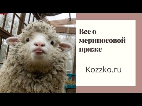 Видео: Все о мериносовой пряже 2