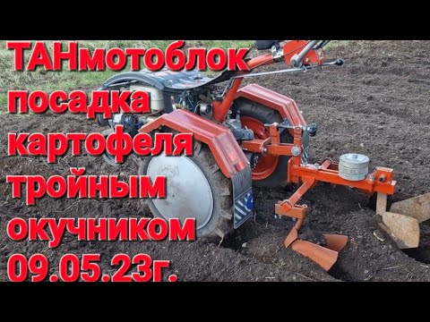 Видео: посадка картофеля под тройной  окучник и мотор сич! 09.05.23г.