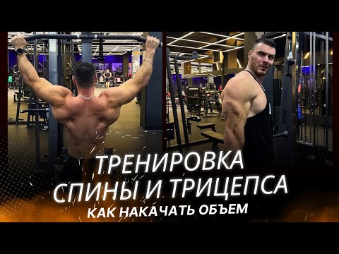 Видео: Как накачать спину и трицепс? Тренировка спины с техникой упражнений