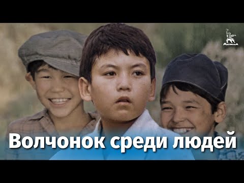 Видео: Волчонок среди людей (драма, приключения, реж. Талгат Теменов, 1988 г.)