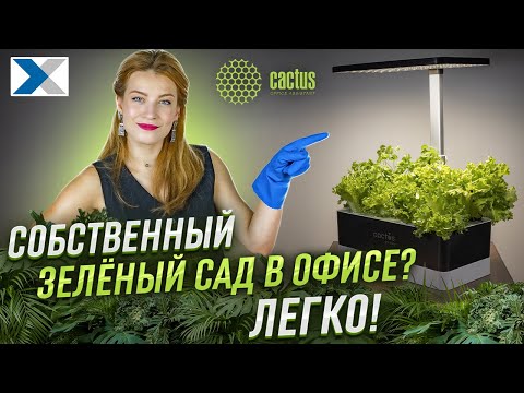Видео: Гидропонные системы Cactus - умное озеленение вашего офиса и дома