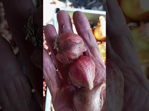Видео: Сегодня уборка. Следующий ролик затотовки