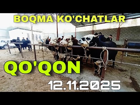 Видео: Qoqon mol bozori kōchat buqa narhlari • Кокон мол бозори
