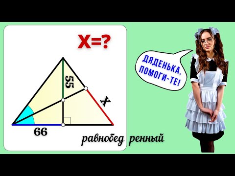 Видео: ТЕХНИЧЕСКИЙ НОКАУТ! Девушки аплодируют стоя!