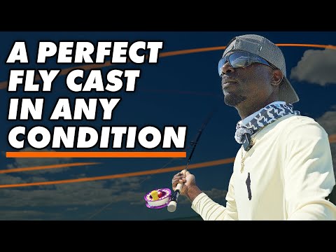 Видео: Мушка всегда идеально летит по ветру!