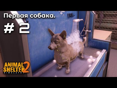 Видео: Расширение приюта ➤ Animal Shelter 2 #2