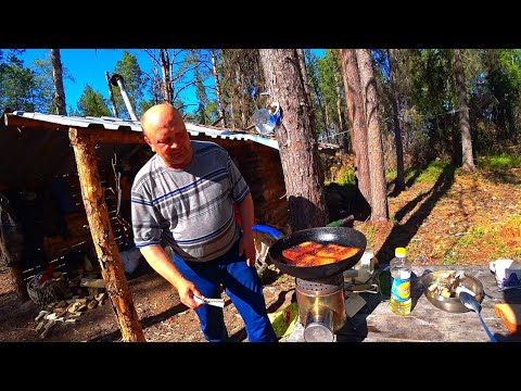 Видео: Приехали в лесную избушку. Рыбалка в диких местах, где много рыбы! Эти существа съедают язя!!!