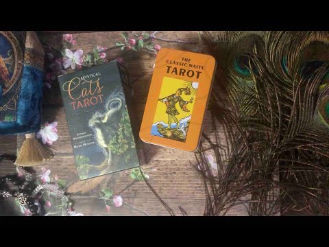 Видео: Распаковка и видео-обзор колоды "Кошачье таро"