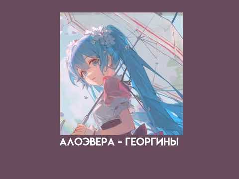 Видео: АлоэВера - георгины (speed up)