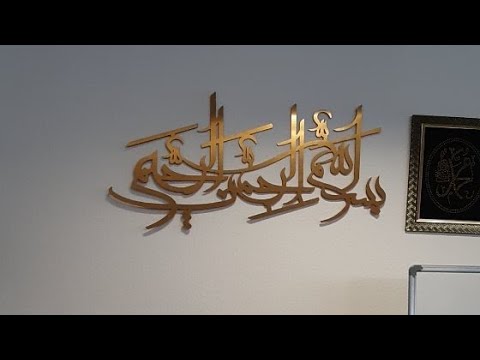 Видео: Пайдоиши махлуқот!