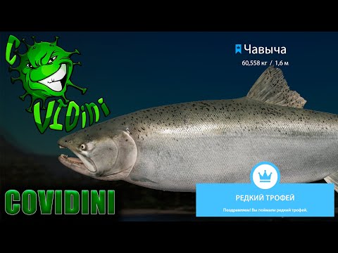Видео: ТРОФЕЙНАЯ ЧАВЫЧА | TROPHY CHINOOK #РР4 #RF4