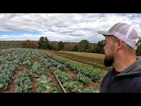 Видео: Мы должны продолжать идти.