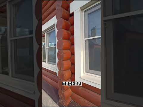 Видео: 22 октября 2025 г.