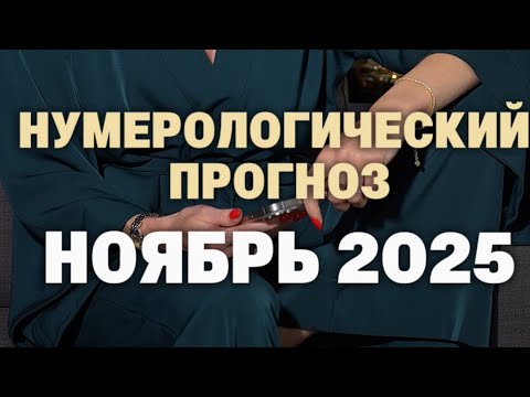 Видео: 2 ноября 2025 г.